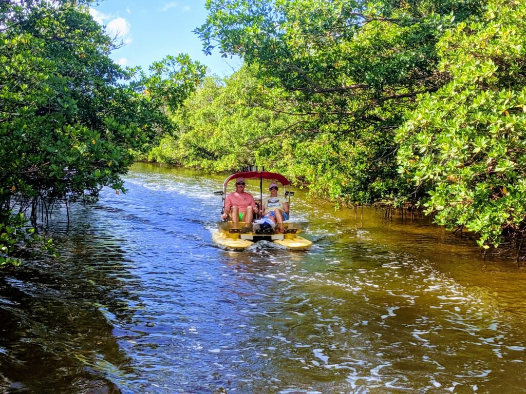 KoolCats Eco Tor 10000 islands