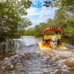 KoolCats Eco Tours Marco Island