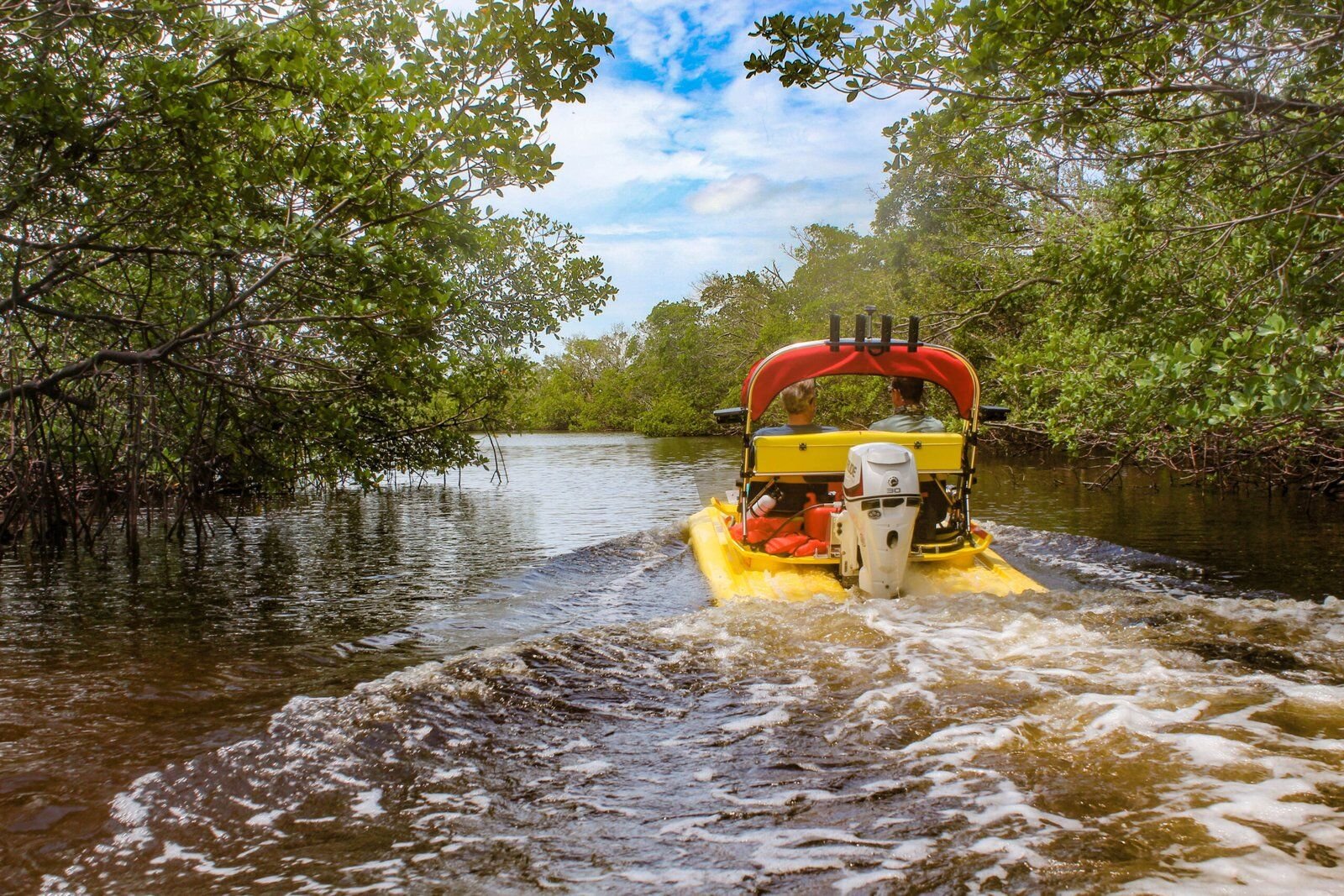 KoolCats Eco Tours Marco Island